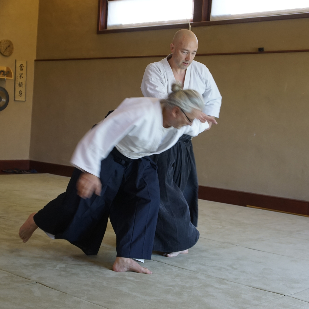 Das Bild zeigt einen Aikidoka beim ausführen eines Ikkyo
