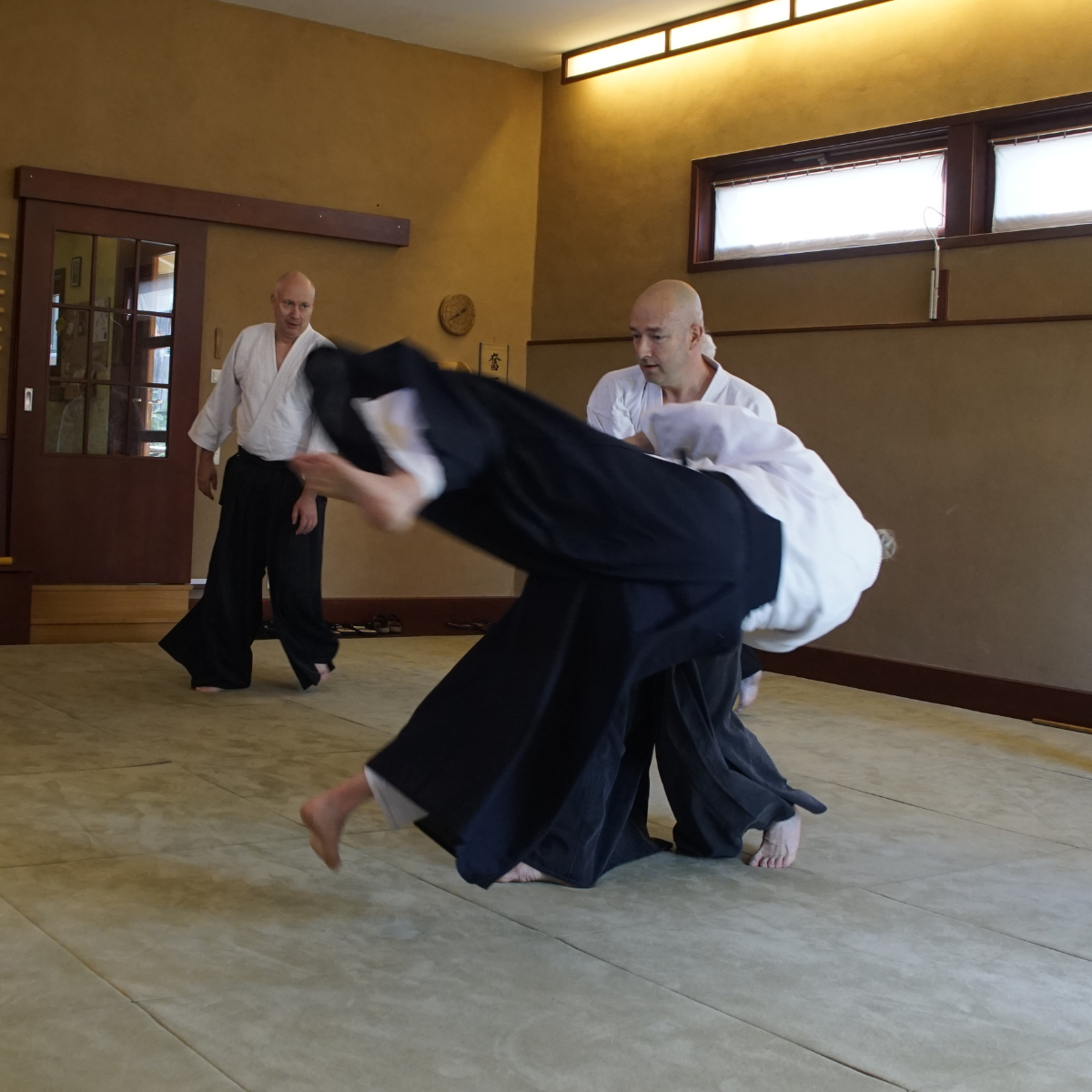 Das Bild zeigt einen Aikidoka beim ausführen eines Kokyo-Nage